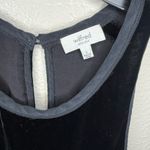 Aritzia Wilfred by Black Velvet Tank Top Photo 1