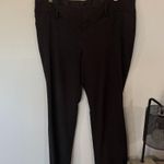 Apt. 9  Black Dress Pants Slacks BootCut Women's Plus Size 14 Photo 0