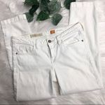 Anthropologie Pilcro and the Letterpress Stet Fit Jeans Photo 2