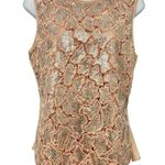 Rebecca Taylor  Sleeveless Tan Silver Sequin Demi Peplum Silk Tank Blouse size 6 Photo 7