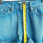 Vintage Havana  Blue Shorts Photo 7