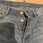 American Eagle Outfitters Tomgirl Pants Photo 2