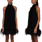 16Arlington Dress Feather Trim Black Cynthia Mini Dress Size US‎ 10 UK 14 Photo 4