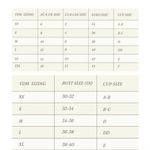 VDM the Label Reversible Blue Gingham to Retro Print Bikini Top New XL Photo 54