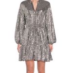 Alex Marie  Shimmering Silver sequin dress 10 Photo 3