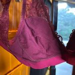 Aerie Lace Bralette in Burgundy Size Medium Photo 8