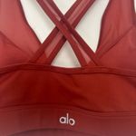 Alo Yoga   Entice Sports Bra in Amber Size Small Photo 3