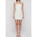 Tularosa Kimmy 3D Floral Appliqué Mini Dress, Ivory, Medium Photo 5