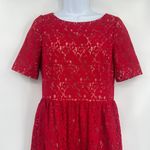 Adrianna Papell  Lace Fit Flare Dress Sz 8 Red Holiday Cocktail Christmas Party Photo 1