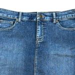 Style & Co Style‎ & Co. Denim Mid Wash Jean Skirt Size 10P Photo 1