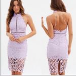 Bardot  Gemma Dress Lace Halter Size 8/M Photo 4