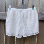 Hollister ‎ Off White Lace Lined Shorts Sz S Photo 3