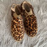 Anthropologie Picon Leopard Print Espadrille Photo 1
