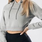 Alphalete Cropped Hoodie Photo 0