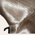 Saloni Satin Champagne Gold Backless Ruffle Hem Cowl Neck Midi Dress Size 8 Photo 5