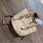 NWT XIX PALMS Shorebreak Picnic Cooler Bag Backpack Woven Straw Boho Bag Tan Photo 5