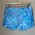 Blue Buttercup Lily Pulitzer  Shorts Photo 5