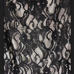 Eliza J  Missy Lace Gown Dress Size 6 NWT Prom Wedding Formal Dance Deep V Back Photo 5