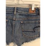 American Eagle Embroidered floral cut off shorts  Size 00 Stretch Photo 3