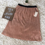 Eliane Rose NWT Fun & Shimmery Skirt 💗 Photo 0