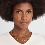 Madewell NWT Chunky Link Chain Necklace and Carabiner Link Hoop Earrings Photo 1