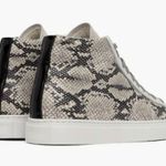 P448  | Star High Top Sneaker Silver Python Snake Print Gray Inside Zipper | 38 Photo 1