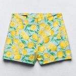 ZARA Printed Linen Blend Shorts Photo 3