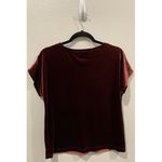 Anthropologie SANCTUARY Holy V-Neck Velvet Burgundy Blouse Photo 3