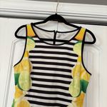 Elle  Black And White Stripe‎ Lemon Print Dress Size 8 Photo 2