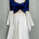 Costume gallery Renaissance style velvet dress with flair skirt and bell sleeve Purple Photo 1