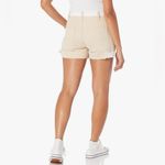 Hudson Jeans Carpenter Short in Angora Colorblock Women’s SIZE 33 Photo 1