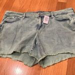 Torrid NWT  women’s acid jade jean shorts size 22. Photo 0