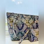 Brahmin Asher Spellbound Solid Melbourne With Marching CORIE Wallet NWT Photo 5