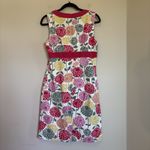 Boden Fun Flirty BIG MUMS Sun Flowers Womens 6 Reg Hot pink‎ Border Dress Pink Photo 6