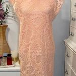Cato Pink Lace Above Knee Dress Size 4 Photo 0