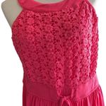 Allison Brittney Sleeveless Fit & Flare Lace Dress Photo 5