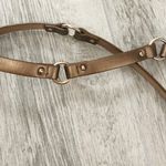 Ann Taylor Bronzed Gold Skinny Belt Photo 2
