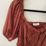 By the River brown and black dress size large new without tags Photo 2