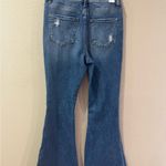 Vervet Flying monkey Jean Photo 6