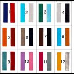 Adjustable ring with reversible color insert. Photo 1