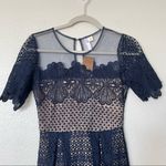 Alya NWT Francesca's Fit-n-Flare Mesh Lace Overlay Navy/Nude Dress Size XS Photo 2