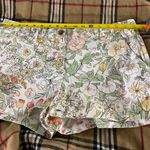 Gap Womens Size 10 Khakis Shorts Floral Flat Front Chino Photo 3