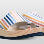 Free People NWOT  Striped Woodlands Platform Clog Sandal Photo 2