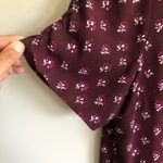 Talbots  XL Semi Sheer Blouse Photo 4