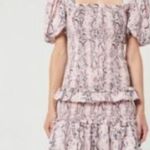 Elliatt  Pink Snakeorint Rosetta Dress Photo 5