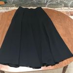 Lizsport Petite Sheer Black Skirt Flair Lining Photo 0