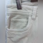 Garnet Hill  10P Cream Straight Leg Velvet Low Pile Velour Pants - Petite Photo 3