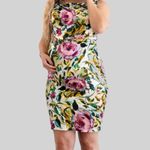 Emilia George The Elizabeth Floral Breastfeeding Dress in Pink Peony size Small Photo 5