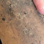 Kurt Geiger  London Octavia Sandal Slide Suede‎ Leather Bejeweled Size 41 (10) Photo 8