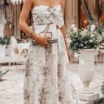 Zimmermann NWOT  iris picnic dress Photo 0